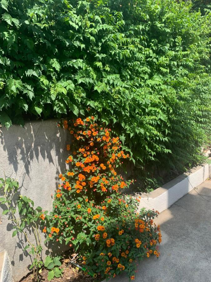 Aida Apartments And Rooms For Couples And Families Free Parking Dubrovnik Dış mekan fotoğraf