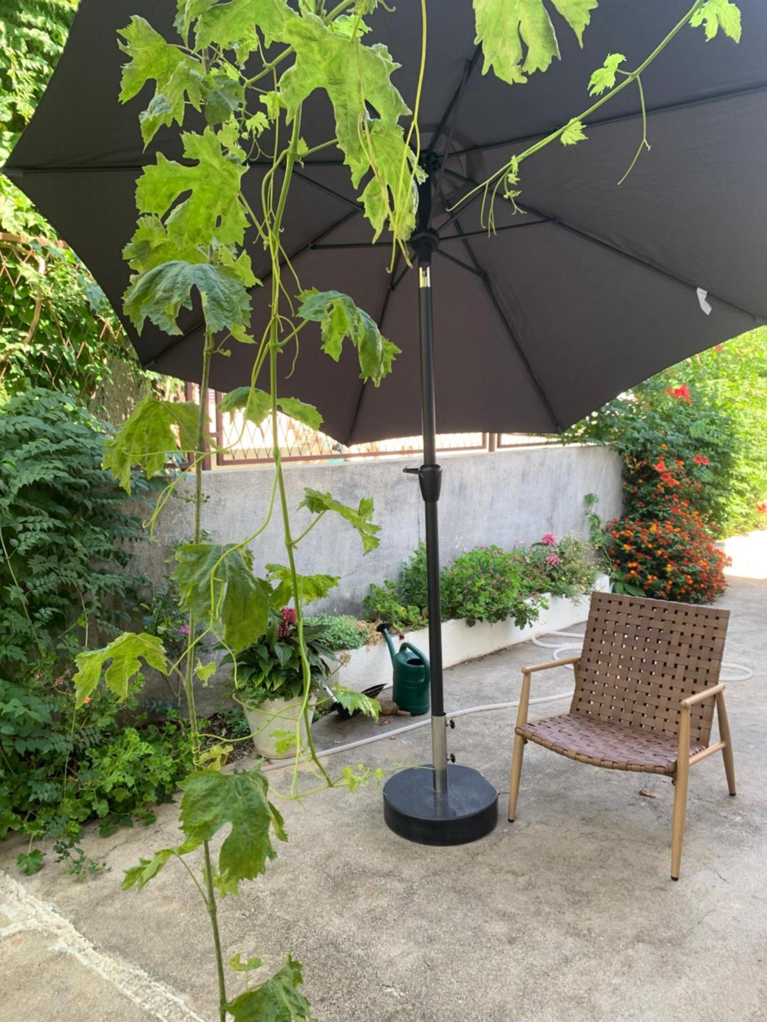 Aida Apartments And Rooms For Couples And Families Free Parking Dubrovnik Dış mekan fotoğraf